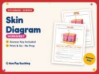 Skin Diagram Worksheet – 5th Grade Anatomy & Human Body Practice preview