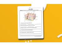 Skin Diagram Worksheet – Body Systems Activity preview