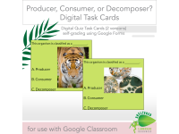 Product image #0