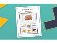 Sorting Activity: Around the Home - Non-Identical items preview