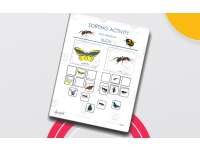 Sorting Bugs Activity – Ladybugs vs. Butterflies preview