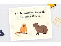 South American Animals Coloring Pages preview