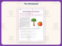 South Carolina Word Search Worksheet – 3rd Grade States Practice preview 2