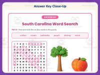 South Carolina Word Search Worksheet – 3rd Grade States Practice preview 7