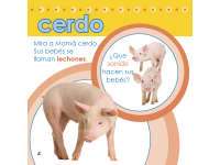 Product image #4
