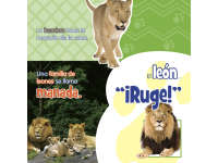 Product image #3