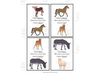 Product image #1