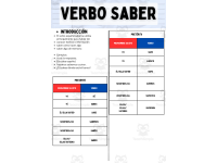 Spanish Grammar Activity Worksheets - Verb Saber - Spanish Only preview 2
