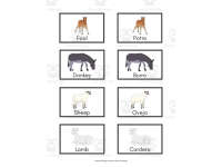 Product image #4