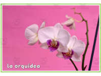 Product image #1