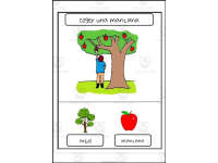 Product image #1
