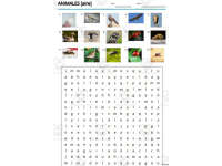 Product image #1