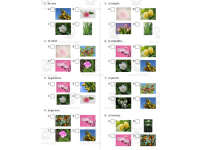 Product image #2
