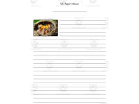 Product image #3