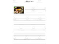 Product image #4
