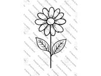Product image #1