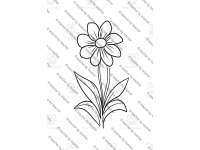 Product image #2