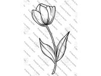 Product image #3