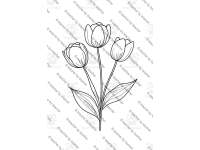 Product image #5
