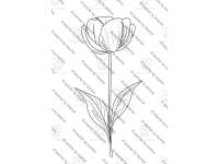 Product image #6