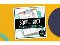 Square Root Function Worksheet preview