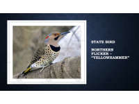 Product image #1