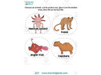 Product image #1