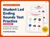 Student Led Ending Sounds Test Practice Worksheet – Kindergarten preview
