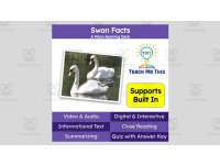 Product image #0