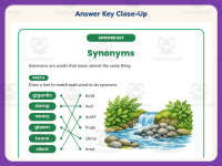 Synonym Matching Worksheet – 3rd Grade Synonyms Practice + Answer Key preview 7