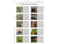 Product image #3
