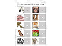 Product image #3
