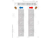Product image #6