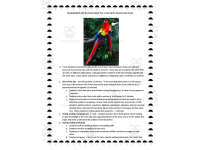 Product image #0