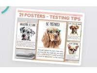 Motivational Testing Posters – 21 Dog-Themed Tips preview
