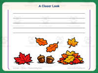 Thanksgiving Fall Leaves Writing Paper – 1st Grade Practice preview 3