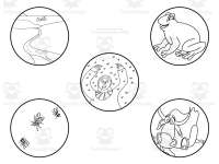 Product image #1