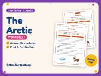 The Arctic Worksheet – 3rd Grade Environments & Habitats and Biomes preview