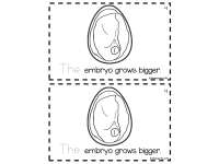 Product image #5