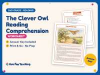 The Clever Owl Reading Comprehension Worksheet – 2nd Grade Animals preview