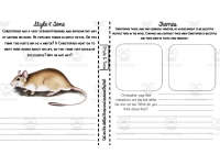 Product image #2