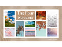 Product image #0