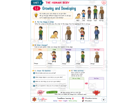 The Human Body Activity Workbook | Biology Worksheets preview 5