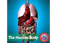 Product image #0