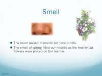 Product image #5