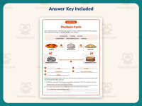 The Rock Cycle Worksheet – 4th Grade Rocks Practice + Answer Key preview 3