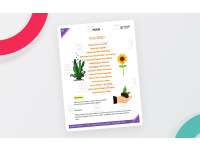 The Seed Poem Intermediate Lesson Plan preview