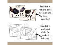 Product image #1