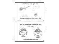 Turkey Opposites Book and Learning Activities preview 2