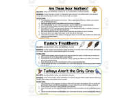Turkey Opposites Book and Learning Activities preview 4